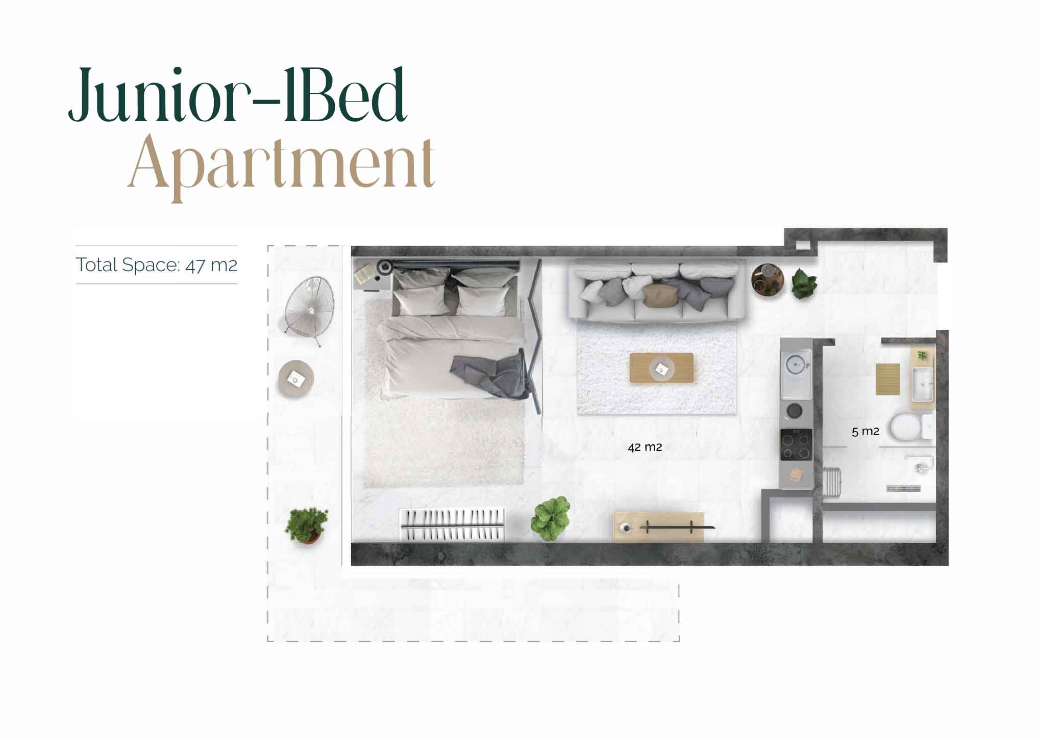 1 Bedroom